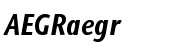 ITC Stone&reg; Sans II Condensed Bold Italic